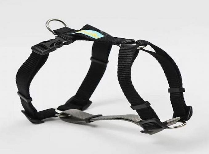 Fita para produtos pet: conheça a linha da Elastec
