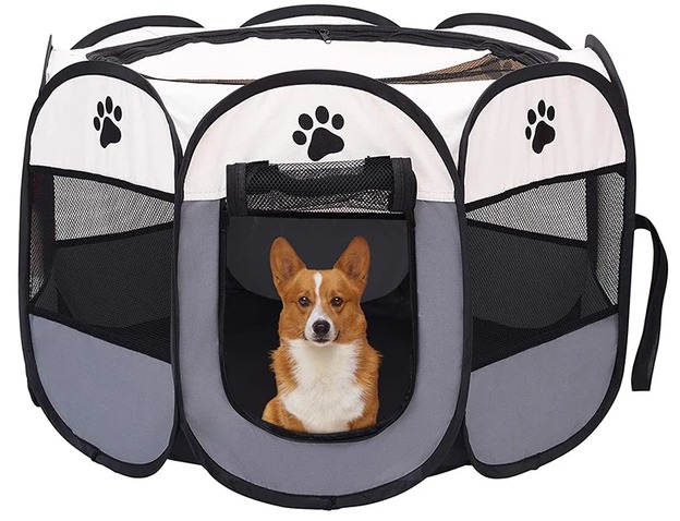CASINHA DO CACHORRO